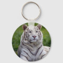 Suche nach weißer tiger schlüsselanhänger Wildtiere