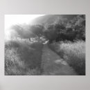 Suche nach beleuchten poster Schwarzes