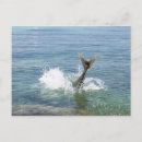 Recherche de poisson de mer cartes postales Nature