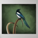 Recherche de corvids posters Illustration