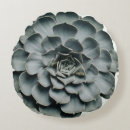 Suche nach saftig kissen Pflanze