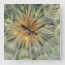 Suche nach dandelion wanduhren Abstrakt