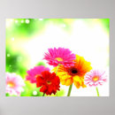 Suche nach blumenlandschaft poster Schön