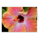 Recherche de ketmie cartes postales Botanique