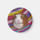 Suche nach meerschweinchen magnete Schweine