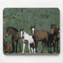 Suche nach wilder mustang mousepads Foto