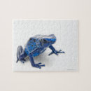Recherche de amphibien puzzles Reptile