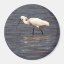 Recherche de lac miroir magnets Réflexion