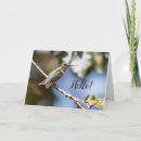 Recherche de colibri photographie Faune