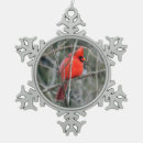 Suche nach roter kardinal ornamente Verzierung