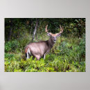 Suche nach premium poster Fotografie