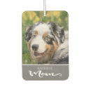 Recherche de race voiture accessoires Animal