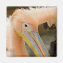 Recherche de regarder magnets Pour enfants