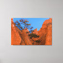 Suche nach kiefern leinwandbilder Rot