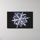 Suche nach physik leinwandbilder Wissenschaft