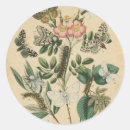 Suche nach raupen aufkleber Insekten