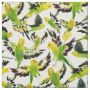 Suche nach parakeets Grün