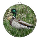 Suche nach ents spiele dartscheiben Stockente