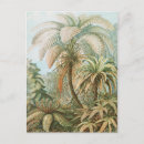 Recherche de haeckel cartes postales Kunstformen der natur