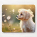 Suche nach king mousepads Niedlich
