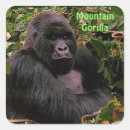 Suche nach kongo aufkleber Ruanda