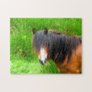 Suche nach pony puzzle Niedlich