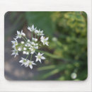 Suche nach foto der blume mousepads Blumenreich