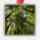 Suche nach busch ornamente Baum