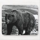 Recherche de ours brun tapis souris Porter