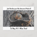 Recherche de ecureuils cartes postales Bonjour