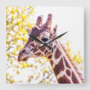 Suche nach giraffen wanduhren Natur