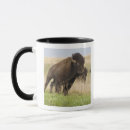 Suche nach oklahoma tassen Bison