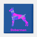Recherche de pinscher magnets Dog
