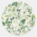 Recherche de orchidée verte autocollants Nature
