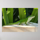 Recherche de lézard posters Vert