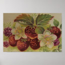 Suche nach blackberry poster Blätter