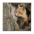 Suche nach minnesota fliesen Ich