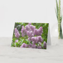 Suche nach fliedern postkarten Für sie