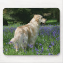 Suche nach fläche mousepads Blumen