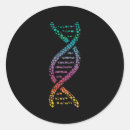 Suche nach dna Replikation