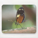 Recherche de macro tapis souris Nature