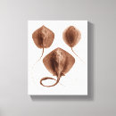 Recherche de enveloppe de art Enveloppé