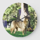 Recherche de coyote horloges Nature