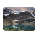 Suche nach yoho nationalpark magnete Baum