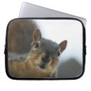 Suche nach eichhörnchen laptop schutzhüllen Tierwelt
