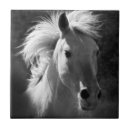 Recherche de chevaux carreaux Cheval