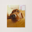 Recherche de outils puzzles Construction