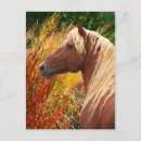 Suche nach waldbrand postkarten Natur