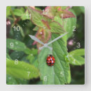 Recherche de de coccinelle horloges Vert