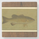 Suche nach bass untersetzer Fisch